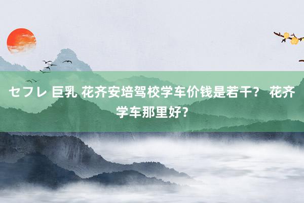 セフレ 巨乳 花齐安培驾校学车价钱是若干? 花齐学车那里好?