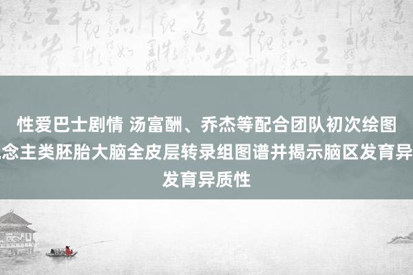 性爱巴士剧情 汤富酬、乔杰等配合团队初次绘图东说念主类胚胎大脑全皮层转录组图谱并揭示脑区发育异质性