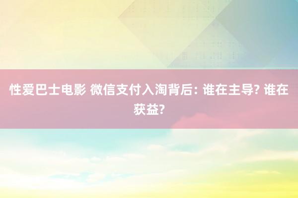 性爱巴士电影 微信支付入淘背后: 谁在主导? 谁在获益?