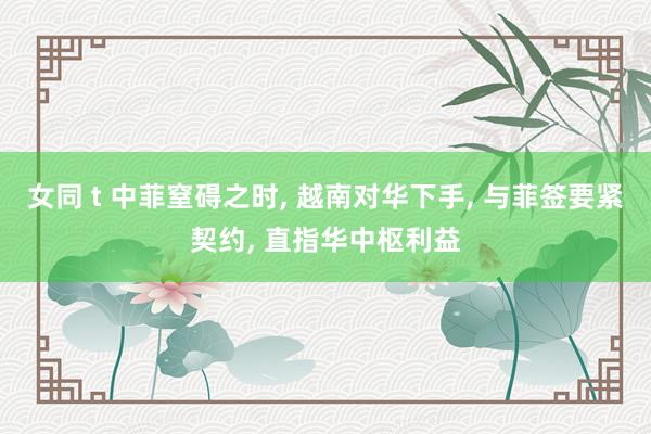 女同 t 中菲窒碍之时， 越南对华下手， 与菲签要紧契约， 直指华中枢利益