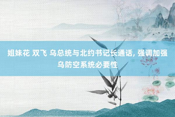姐妹花 双飞 乌总统与北约书记长通话， 强调加强乌防空系统必要性