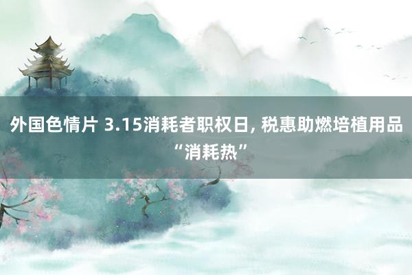 外国色情片 3.15消耗者职权日， 税惠助燃培植用品 “消耗热”