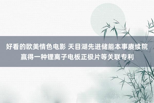 好看的欧美情色电影 天目湖先进储能本事赓续院赢得一种锂离子电板正极片等关联专利