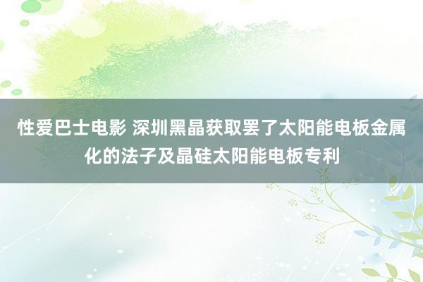 性爱巴士电影 深圳黑晶获取罢了太阳能电板金属化的法子及晶硅太阳能电板专利