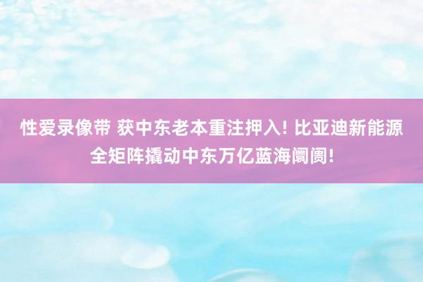 性爱录像带 获中东老本重注押入! 比亚迪新能源全矩阵撬动中东万亿蓝海阛阓!